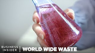 How To Make Plastic From Seaweed  World Wide Waste  Business Insider [upl. by Attemaj]