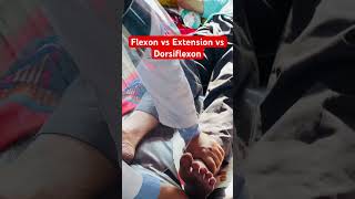 Flexon vs Extension vs Dorsiflexon  flexon extension dorsiflexion clinical doctor physician [upl. by Doownel147]