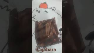 Pintando al carpincho parte 1 [upl. by Nivri442]