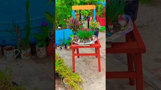 Cool Chair Planter Ideas for Home and Garden  Old Chair Garden Decor Ideas [upl. by Ayhay817]