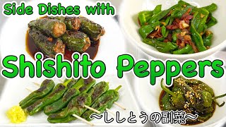 4 easy side dishes with Shishito Peppers 〜ししとう副菜四種〜  easy Japanese home cooking recipe [upl. by Ramsa]