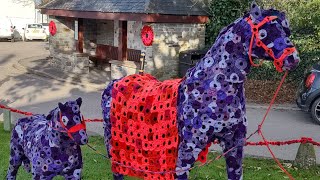 Remembrance Day display at Crantock village Cornwall  dji action 4 [upl. by Tore]