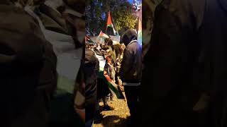 Protestierende mit Taucherbrille und Tröten  palestina Demo Berlin b0211 [upl. by Shiekh]