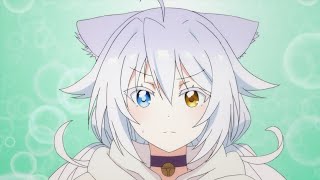 Anime PV catulus syndrome Nekomusume shoukougun [upl. by Grae347]