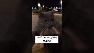 😂😂 القاتل في المحقق كونان [upl. by Port483]