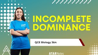 Incomplete Dominance  QCE Biology 3amp4 [upl. by Amadeus816]