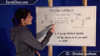 Strecker Synthesis [upl. by Townsend284]