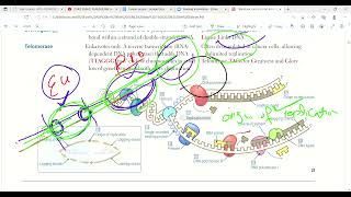 DNA Replication  Molecular biology  Biochemistry  First Aid lectures  Lec7 Drjamillectures [upl. by Pacifa]