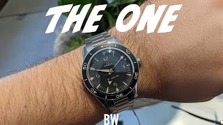 Omega Seamaster Pro VS New Seamaster 300 [upl. by Hairakcaz]