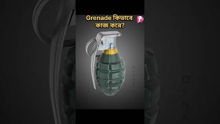 Grenade কিভাবে কাজ করে জানেন How to Work Grenade facts shorts [upl. by Derek775]