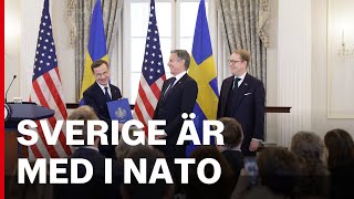 Klart Nu är Sverige fullvärdig medlem i Nato [upl. by Leahpar]