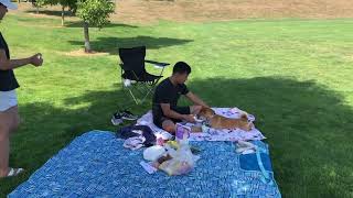 Weekend family picnics at Routley Park in Langley then playing sports [upl. by Clarance]