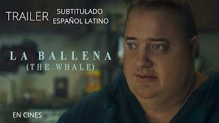 THE WHALE La Ballena  Trailer 2  Subtitulado Español Latino [upl. by Sahcnip]