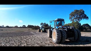 Rescuing Big Blue  Erinvale  West Australian Farm  July 2023 [upl. by Edna]