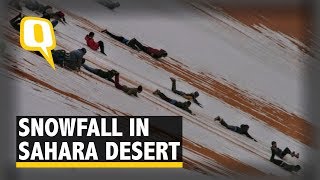 ‘Gateway To Sahara’ In Algeria’s Ain Sefra Covered With Snow  The Quint [upl. by Brittani345]