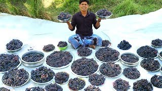 50 KG GRAPE JUICE  Summer Health Drinks Recipe  Grape Juice from Farm Fresh  Village Food Channel [upl. by Rep905]