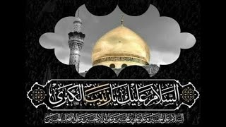 Majlis Shahadat bibi Zainab ahs  Sheikh Hamza Afzalhoussen [upl. by Leiuqeze]