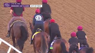 Aidan OBrien Team Hits the Track Including City of Troy [upl. by Mairb]