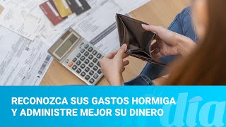 Reconozca sus gastos hormiga y administre mejor su dinero [upl. by Ardnalac]