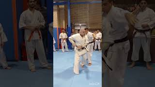 Ushirogeriehsanashtari martialarts kyokushinkarate shidokan renshiashtari ushirogeri [upl. by Alracal]