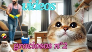 Los MEJORES VIDEOS de GATOS graciosos parte N°2  ¡NO PODRÁS DEJAR DE REIR 😁🙀😼 FUNNY KITTENS [upl. by Odrareve]