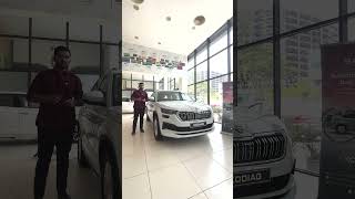 2024 Skoda Kodiaq Standout features  Deep Reviews [upl. by Enyamrahc286]