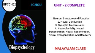 Biopsychology  Unit  2  Neurons And Nerve Impulse  Malayalam Class  BPCC 102 [upl. by Atiuqaj]