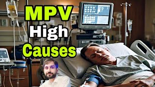 MPV High Causes  High Mean Platelet Volume Causes  MLT Hub with kamran [upl. by Stine]