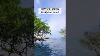 필리핀보홀아모리타 보홀아모리타리조트 Amorita Resort Bohol Amorita 보홀여행 [upl. by Zerimar296]