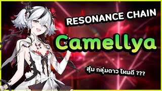 แนะนำ Resonance Chain กลุ่มดาว Camellya อันไหนดี  ✦ Wuthering Waves ✦ [upl. by Amadeus195]