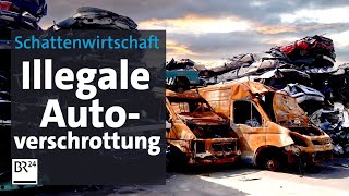 360000 verschwundene Autos Das Geschäft mit der Autoverschrottung  Die Story  Kontrovers  BR24 [upl. by Iver308]