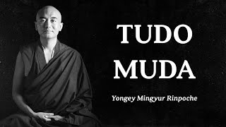 Yongey Mingyur Rinpoche  Tudo Muda [upl. by Iv561]