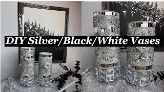 DIY SilverBlackWhite Vases [upl. by Eimaraj569]