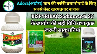 Bayer Adora बायर अडोरा Bispyribac Sodium 10 SC Dupont Almix Pimix  धान का खरपतवार नाशक2021 [upl. by Arob]