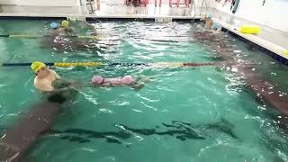 Freestyle Swim School2024 Early summer Thur8 [upl. by Linnette]