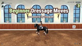 Beginner SSO Dressage Moves [upl. by Niwle519]