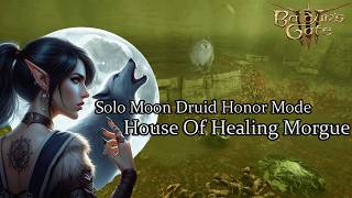 Solo Moon Druid House Of Healing Morgue Acid Pit Honor Run [upl. by Tteraj695]