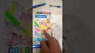 Pencil vs pencil colour pencil pencil colour drawing  art key studio [upl. by Danae]