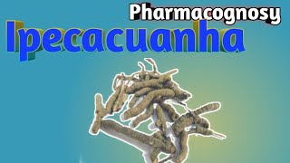 Pharmacognosy of Ipecacuanha [upl. by Lavern]