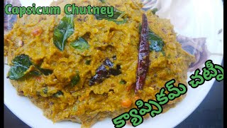 Capsicum Chutney Capsicum Recipe capsicum Capsicum chutney [upl. by Arekat]