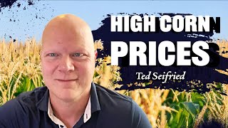 Corn Hasnt Been This High Since July Ted Seifried on RFDTV [upl. by Rickert272]