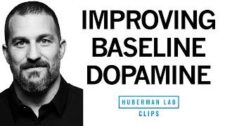 Improve Your Baseline Dopamine for Motivation amp Drive  Dr Andrew Huberman [upl. by Dalpe648]