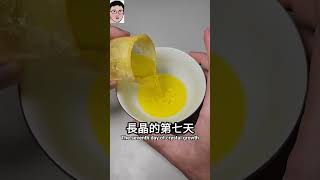 自己種水晶Grow your own crystals，超有趣四幸丸老師的理化科學Vlog物理熱門理化 [upl. by Tilly]