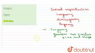 Chlamydomonas shows  12  KINGDOM PLANTAE OR METAPHYTA  BIOLOGY  DINESH PUBLICATION ENGLISH [upl. by Schacker407]