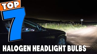 Top 7 Best Halogen Headlight Bulbs Review in 2024 [upl. by Llewellyn]