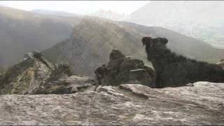 Fell Running on Sharp Edge Blencathra [upl. by Ydualc]