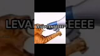 Levantenseeee [upl. by Attekram]