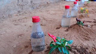 Como Hacer RIEGO POR GOTEO con botellas de plástico reciclado [upl. by Fleeta]