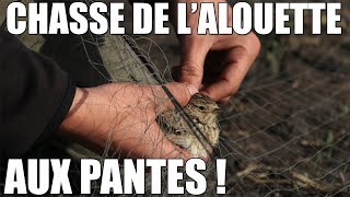 Chasse de lAlouette Aux Pantes   Marius Chasse [upl. by Maffei]