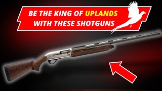 Your FAVORITE Semi Auto Shotguns For UPLAND [upl. by Ahselak]